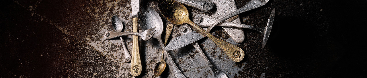 Столовые приборы Rosenthal Versace