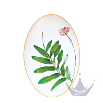 Блюдо овальное 38см коллекции Jardin Indien бренда Bernardaud