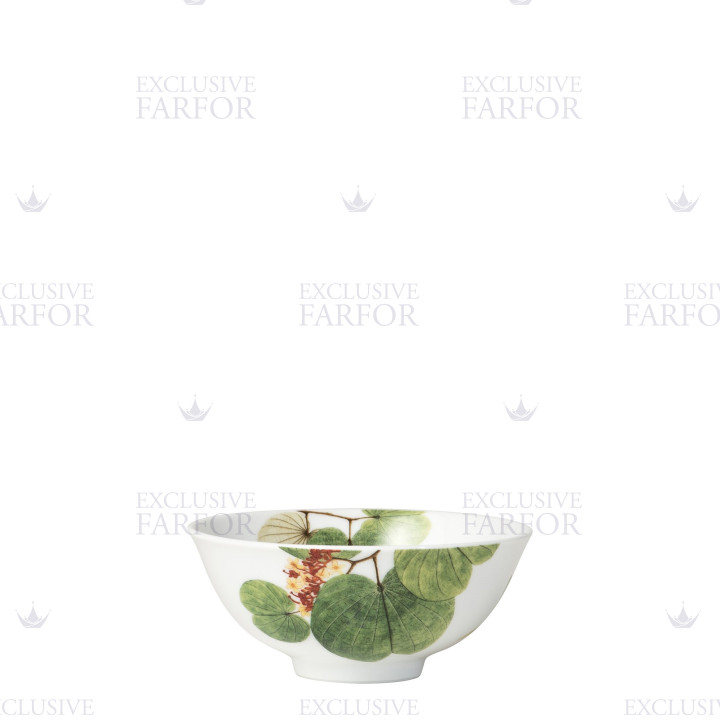 Чаша для риса 12см коллекции Jardin Indien бренда Bernardaud