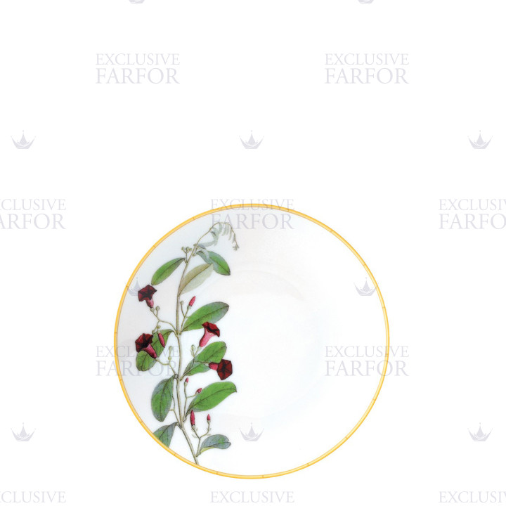 Тарелка десертная 16см коллекции Jardin Indien бренда Bernardaud