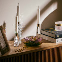 Курильница 19,5см коллекции Jardin de Lotus бренда Daum