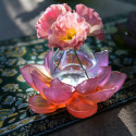 Солифор 19,5см коллекции Jardin de Lotus бренда Daum