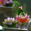 Солифор 19,5см коллекции Jardin de Lotus бренда Daum