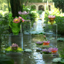 Солифор 19,5см коллекции Jardin de Lotus бренда Daum