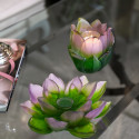 Коллекция Jardin de Lotus бренда Daum