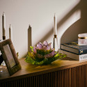 Коллекция Jardin de Lotus бренда Daum