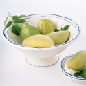 Коллекция Filet Bleu бренда Gien