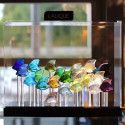 Коллекция Для презентации бренда Lalique
