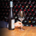 Бокал для белого вина Riesling/Zinfandel 545мл коллекции Vitis бренда Riedel