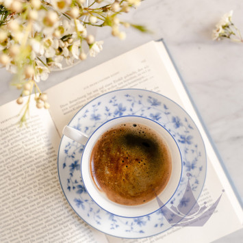 Коллекция Form 1382 Blaublüten бренда Rosenthal