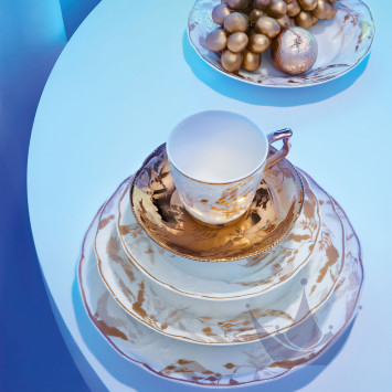 Чашка кофейная с блюдцем 0,21л коллекции Heritage Midas бренда Rosenthal