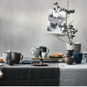 Коллекция Junto Pearl Grey бренда Rosenthal