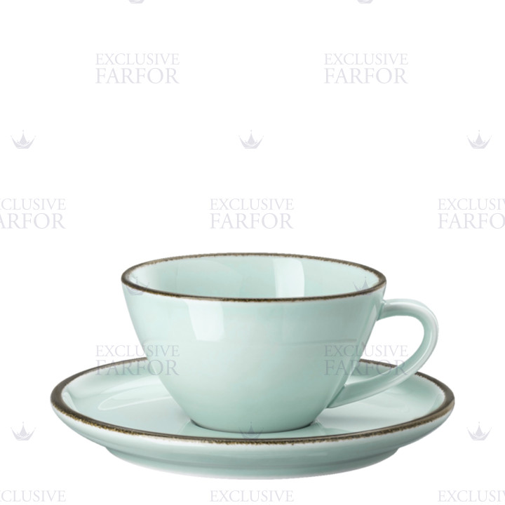 Чашка с блюдцем 0,23л коллекции Profi Casual Mint бренда Rosenthal