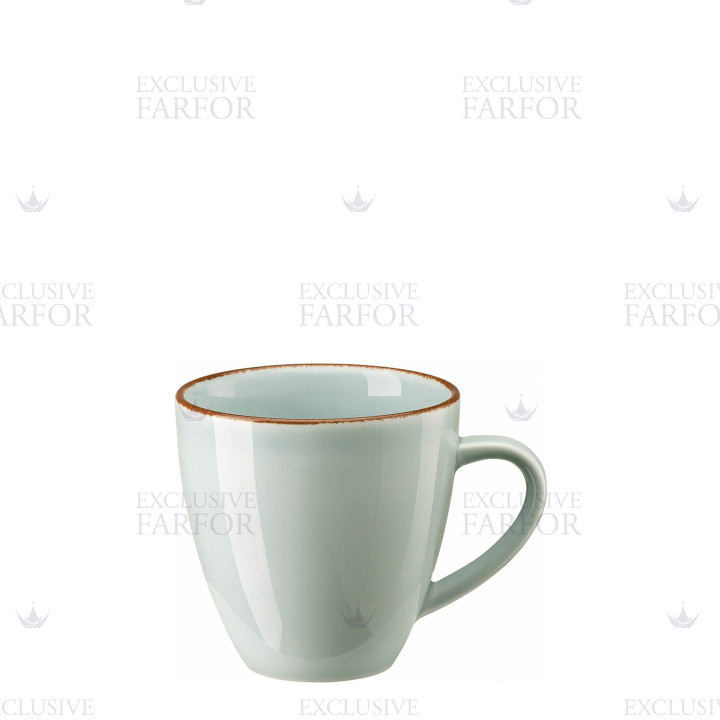 Кружка 0,35л коллекции Profi Casual Mint бренда Rosenthal