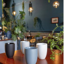 Кружка 0,28л коллекции The mug+ 