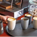 Кружка 0,28л коллекции The mug+ 