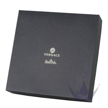 Кружка, набор из 6 шт. 0,08л бренда Rosenthal Versace