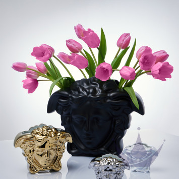 Коллекция Medusa Grande бренда Rosenthal Versace
