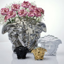 Коллекция Medusa Grande бренда Rosenthal Versace