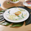 Коллекция Amazonia Anmut бренда VB