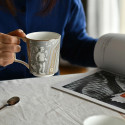 Коллекция Renaissance Grey Accents бренда Wedgwood