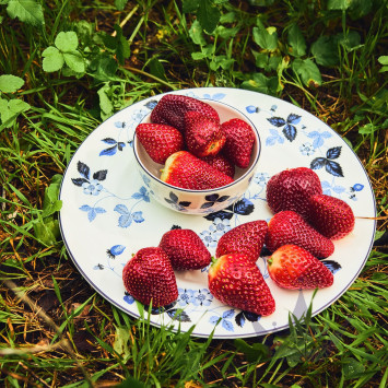Тарелка закусочная 21см коллекции Wild Strawberry Inky Blue бренда Wedgwood