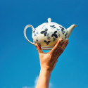 Чайник 800мл коллекции Wild Strawberry Inky Blue бренда Wedgwood